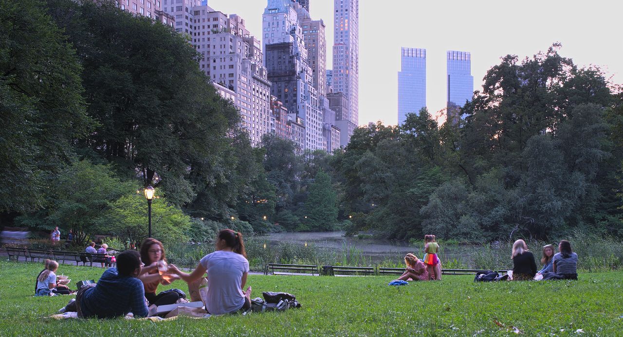 Pique-nique à Central Park